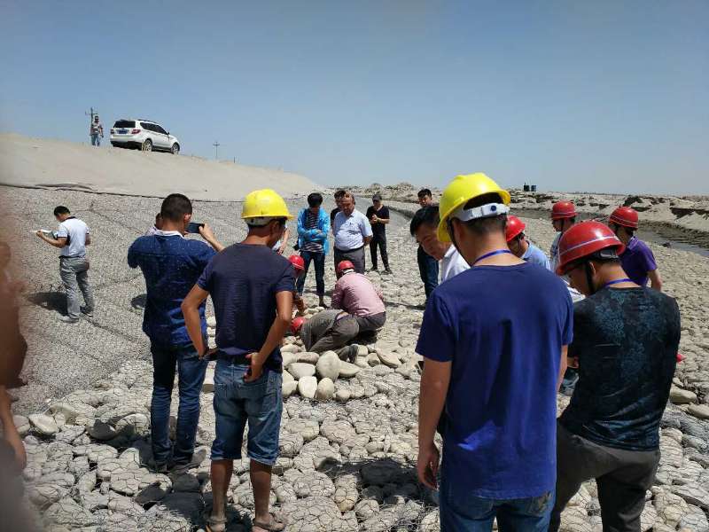 新疆维吾尔自治区水利厅关于对叶尔羌河防洪治理工程开展专项督导检查