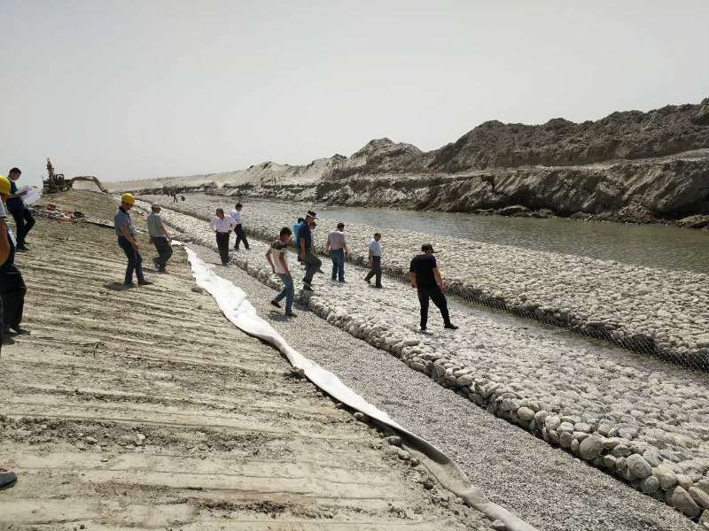 新疆维吾尔自治区水利厅关于对叶尔羌河防洪治理工程开展专项督导检查