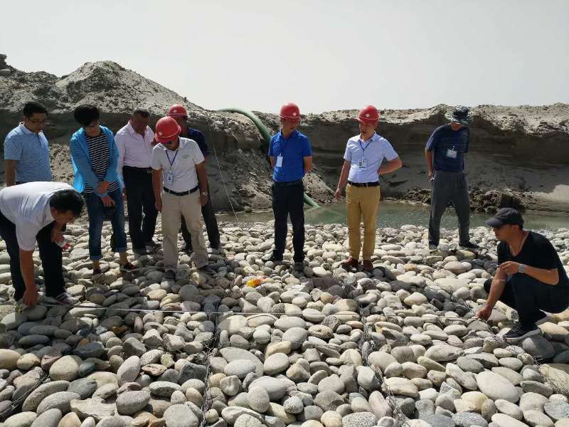 新疆维吾尔自治区水利厅关于对叶尔羌河防洪治理工程开展专项督导检查