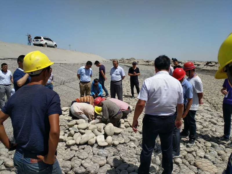 新疆维吾尔自治区水利厅关于对叶尔羌河防洪治理工程开展专项督导检查